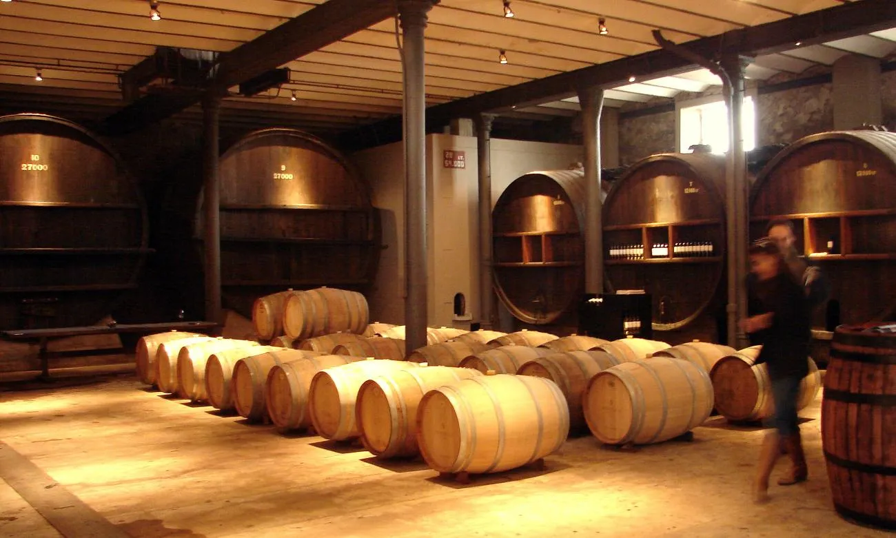 Bodega Spinoglio
