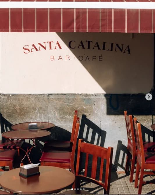 Verbena del Santa