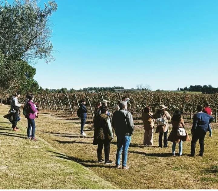 Winebus