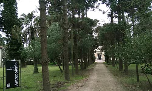 Museo Nacional de Antropología