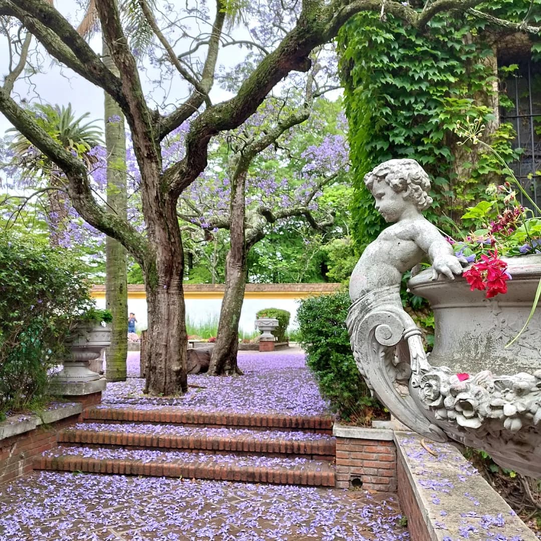 Jardín Botánico