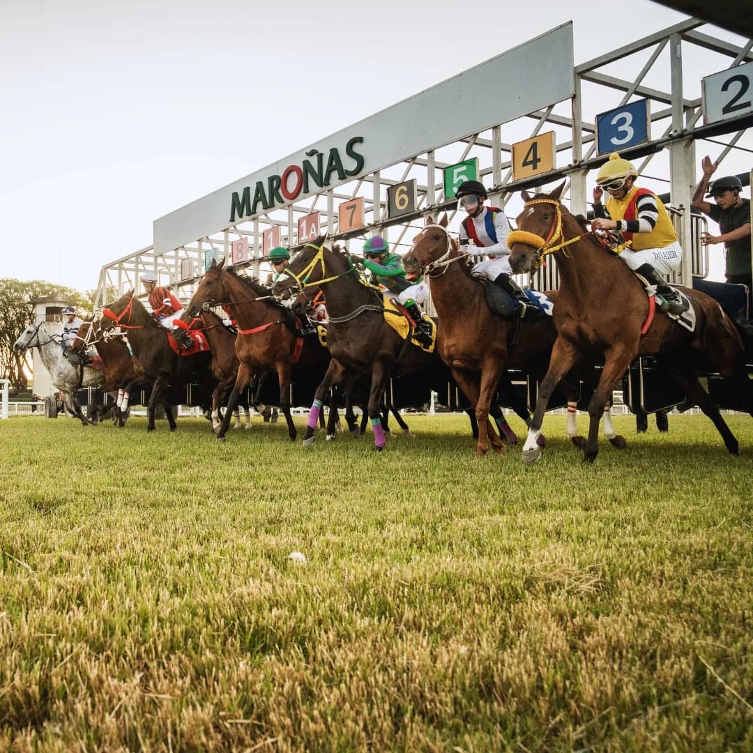 Hipódromo Nacional de Maroñas