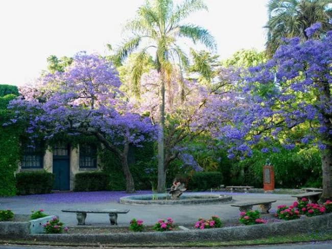Leer es un viaje" en el Jardín Botánico 🌿📚