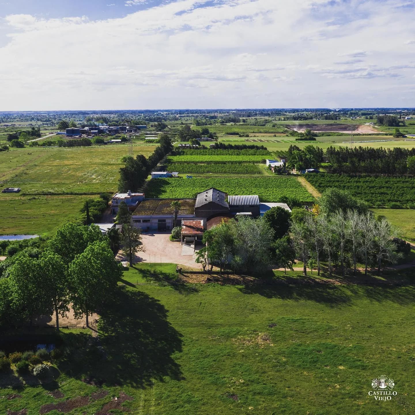 Bodega Castillo Viejo