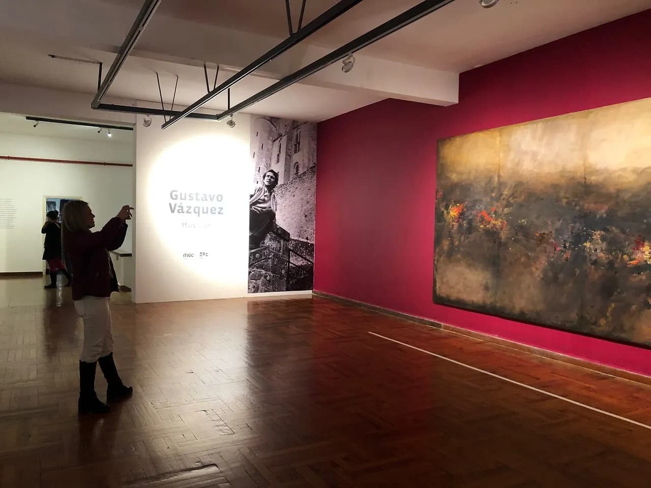 Museo de Artes Visuales
