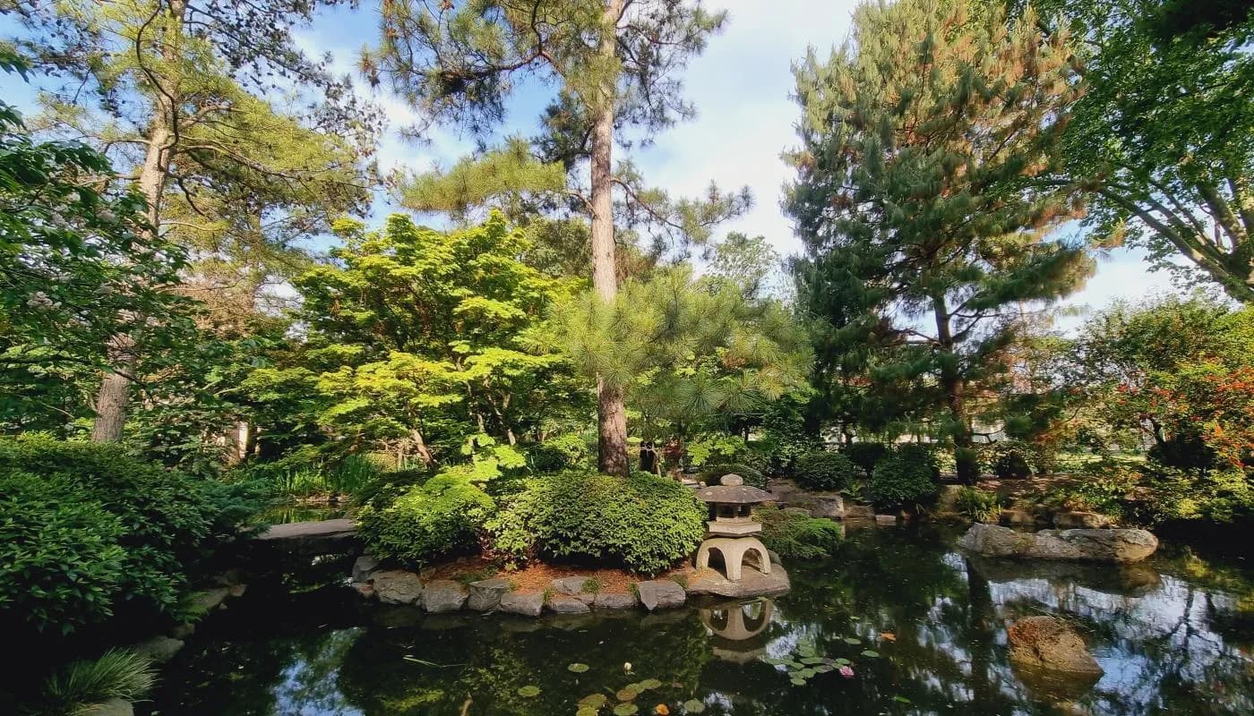 Festival Japón en el Museo Blanes y Jardín Japonés